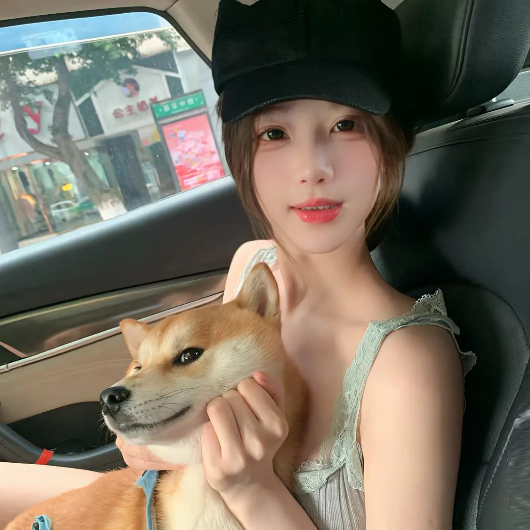 真情给你